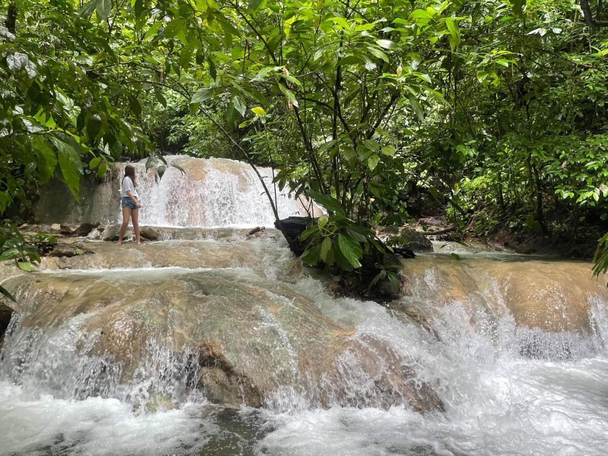 Soul Sync Sanctuary Formally Hacienda La Moringa Apartment Playa Hermosa  Ngoại thất bức ảnh