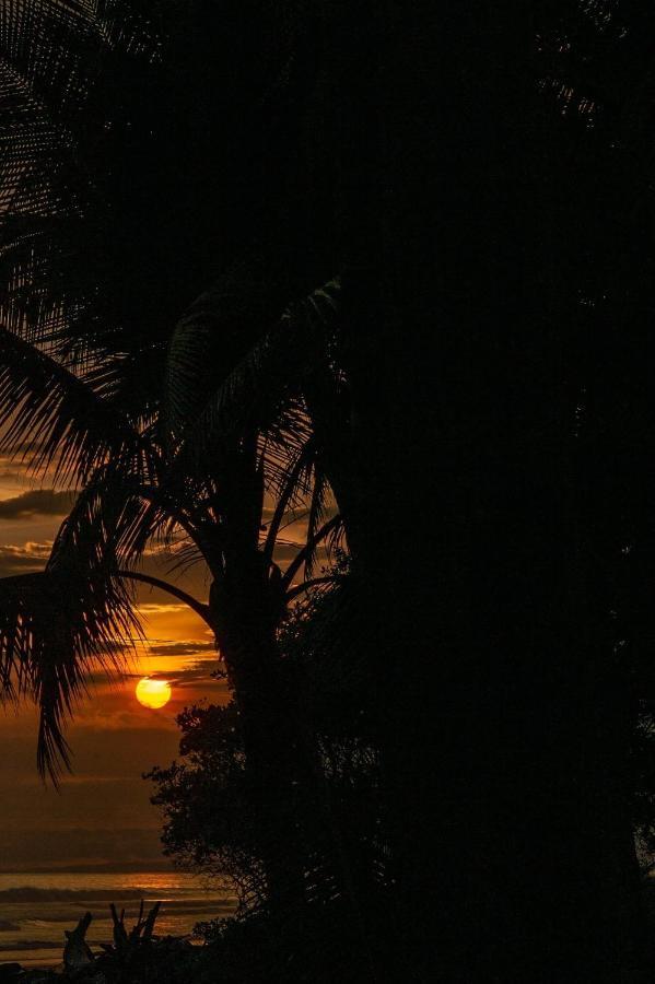 Soul Sync Sanctuary Formally Hacienda La Moringa Apartment Playa Hermosa  Ngoại thất bức ảnh