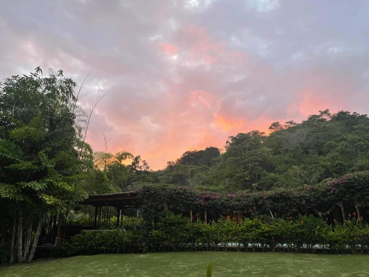 Soul Sync Sanctuary Formally Hacienda La Moringa Apartment Playa Hermosa  Ngoại thất bức ảnh