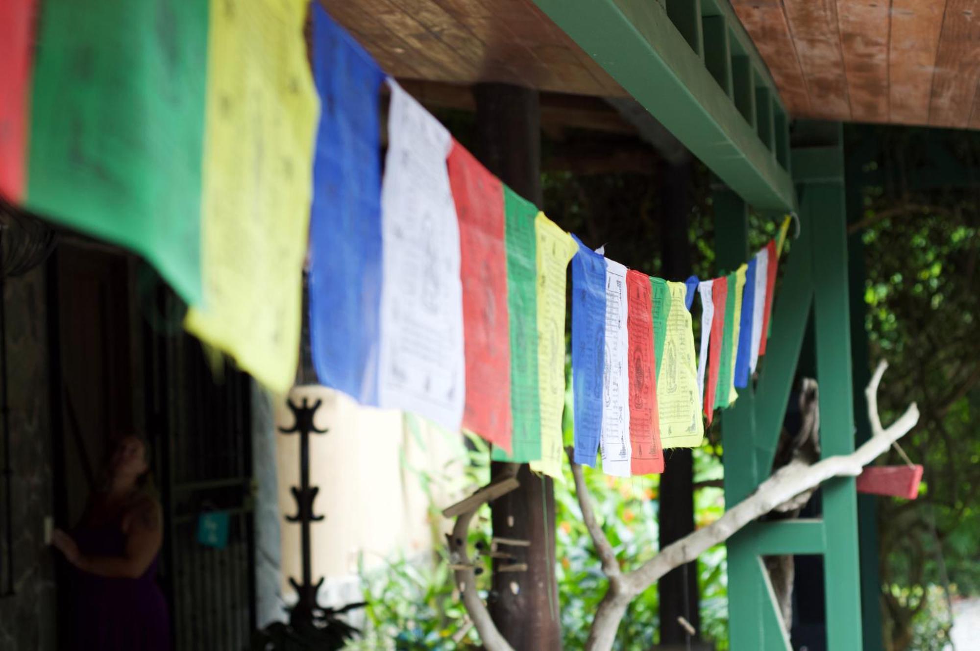Soul Sync Sanctuary Formally Hacienda La Moringa Apartment Playa Hermosa  Ngoại thất bức ảnh